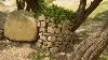 Building A Secret Shelter Of A Large Tree Bushcraft