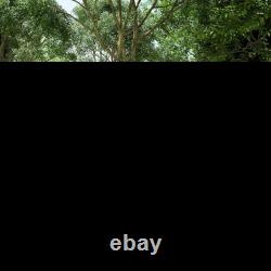 Family Camping Tent with 2 Bedrooms, a Living Room 4-6 Man