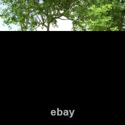 Family Camping Tent with 2 Bedrooms, a Living Room 4-6 Man