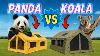 Inflatable Tent Showdown The Panda Vs The Koala