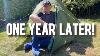 Naturehike Cloud Up 2 Best Budget 3 4 Season Tent Long Term Review