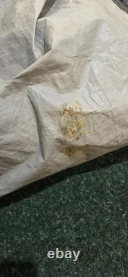 Vango Rome 550XL Family Tent (TN652)