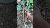 Astuce De Nœud Pour Tente De Camping En Plein Air Shorts De Camping