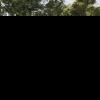 Tente Tipi Familiale Vidaxl Verte 8 Personnes Imperméable