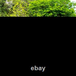 Tente de camping avec 2 chambres, 3000 mm imperméable pour 3 personnes