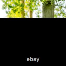 Tente de camping avec 2 chambres, 3000 mm imperméable pour 3 personnes